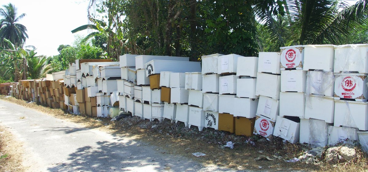 Thong Yang Terrassenausblick