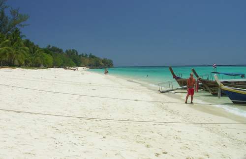 Phi Phi Island after Tsunami, Teil 1